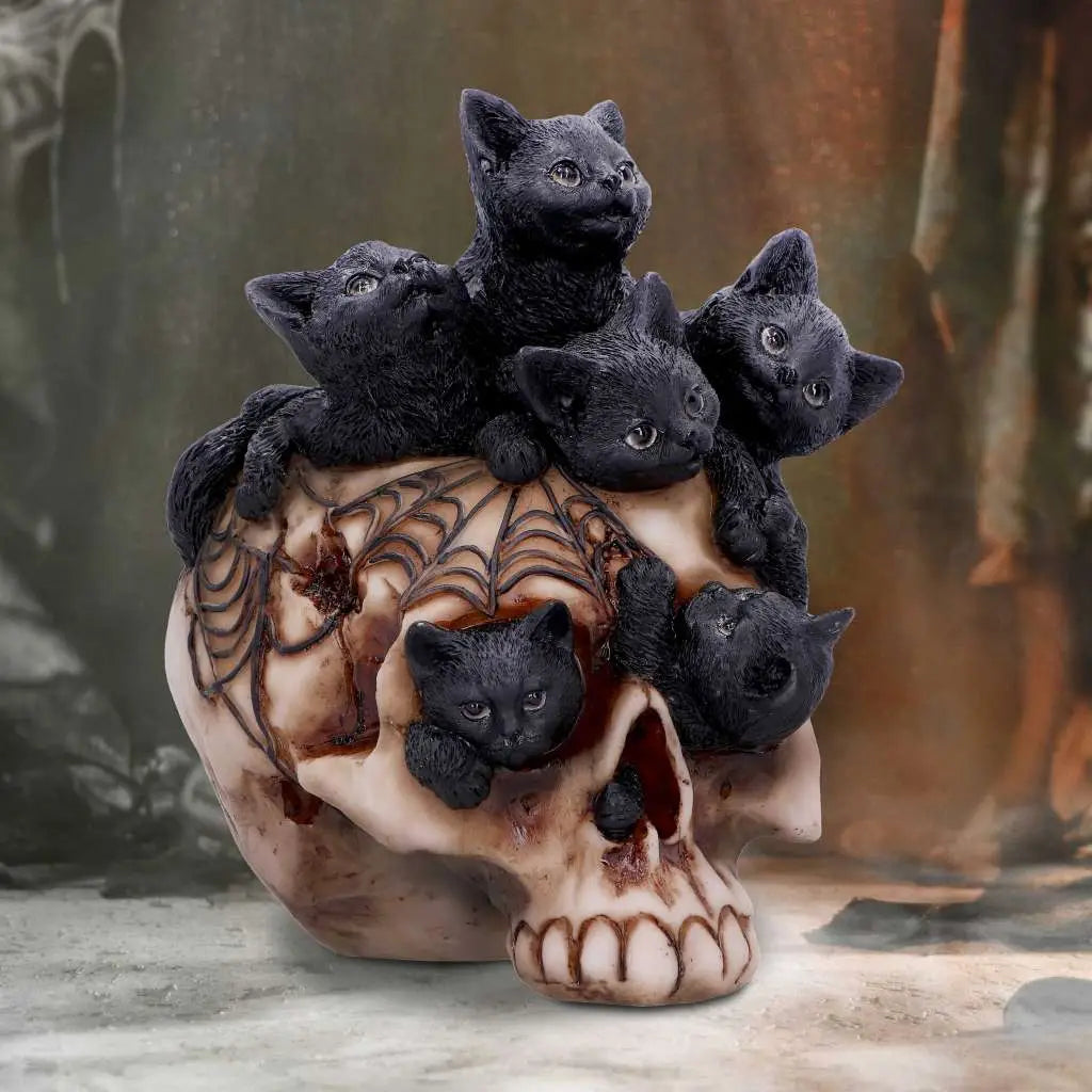 SKULL CRANIAL LITTER
