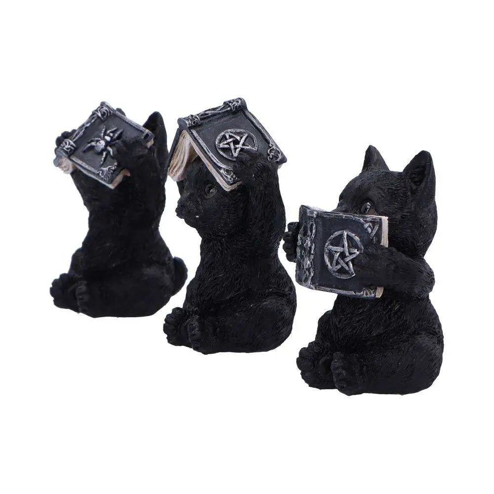 THREE WISE WITCHY BLACK SPELL CATS