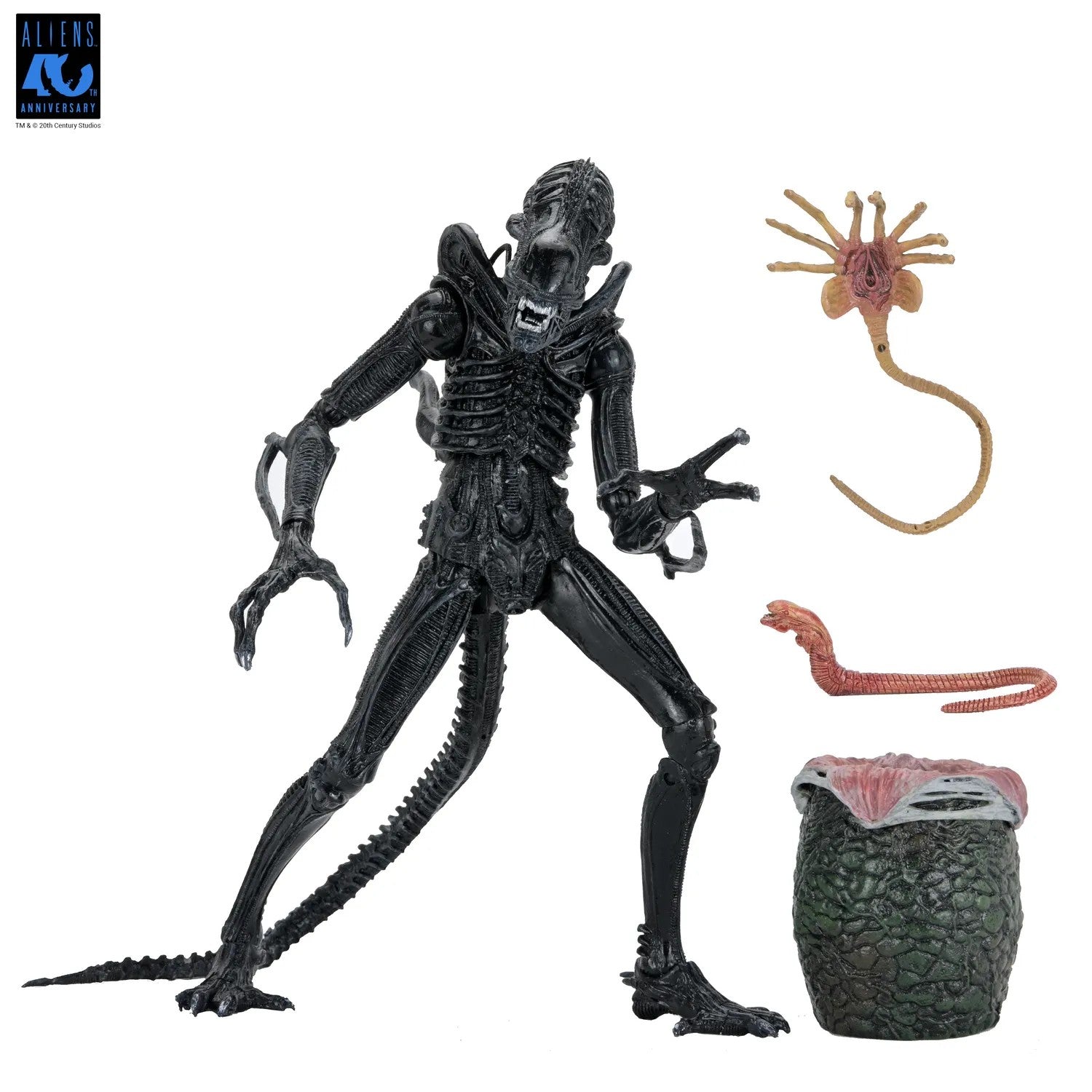 ALIENS 40TH ANNIVERSARY - Warrior Alien Black - Figure Ultimate 23cm