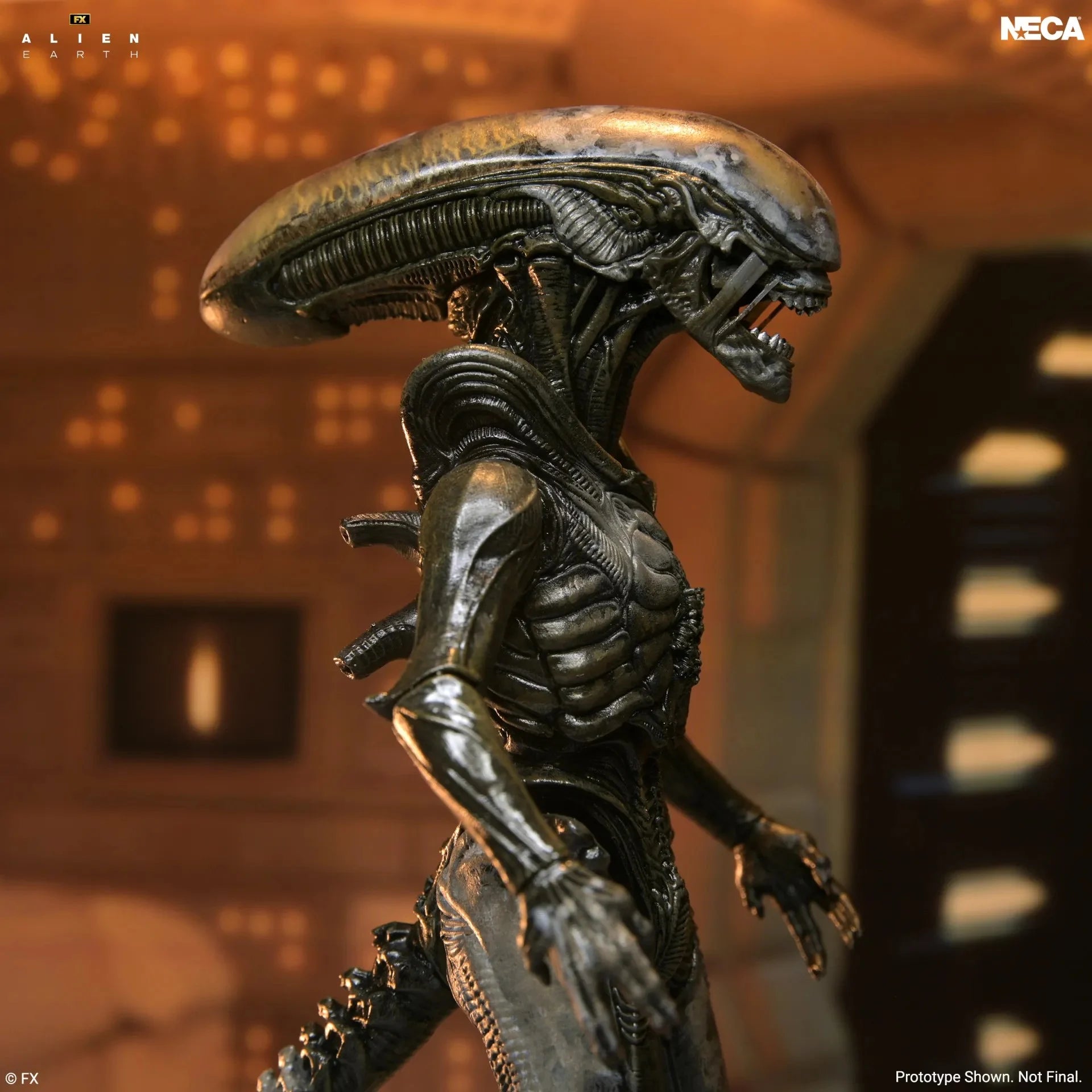ALIEN EARTH - Wendy Xenomorph  - Figure Ultimate 17cm