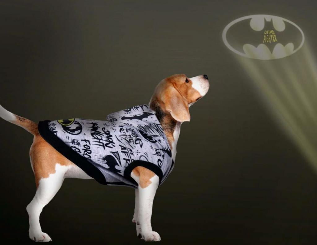 BATMAN - Dog Hoodie - XS