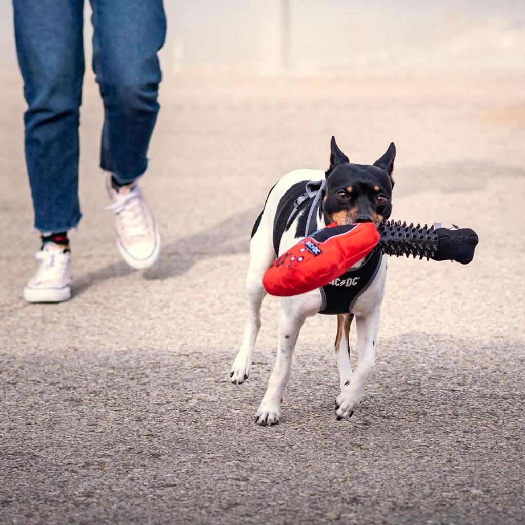 AC/DC - Guitar Teething Toy for Dog