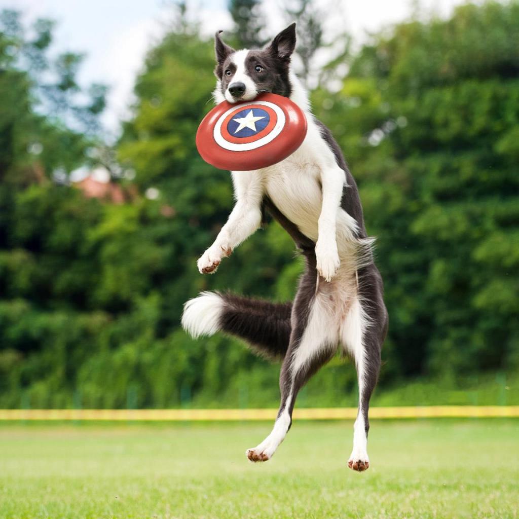 AVENGERS - Captain America - Dog Toy - Fresbee  '23cm'