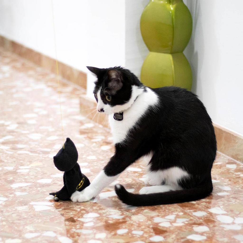 BATMAN - Toy - Cat Fishing Pole