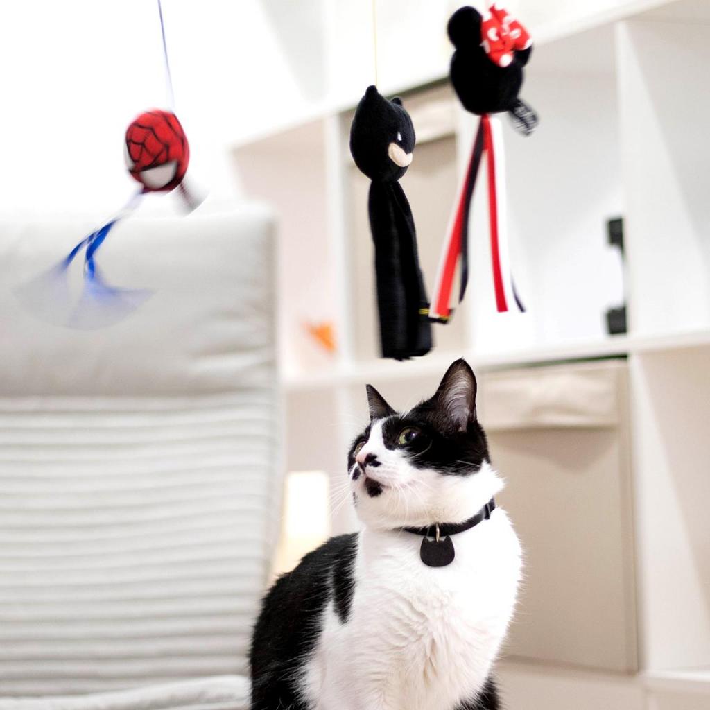 BATMAN - Toy - Cat Fishing Pole