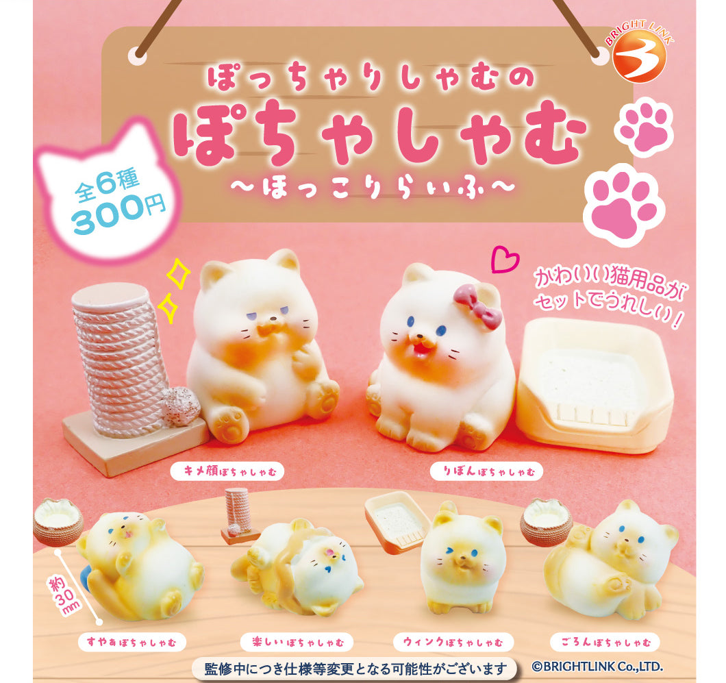 GASHAPON - Pochasham Hokkori Life (Lot de 40 Capsule)
