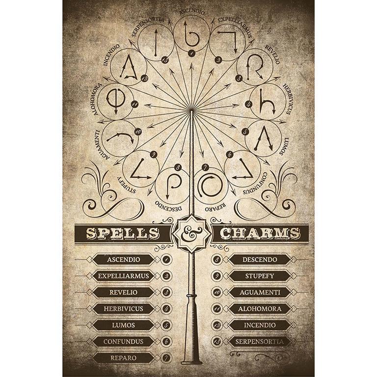 HARRY POTTER - Spells & Charms - Poster 61 x 91cm