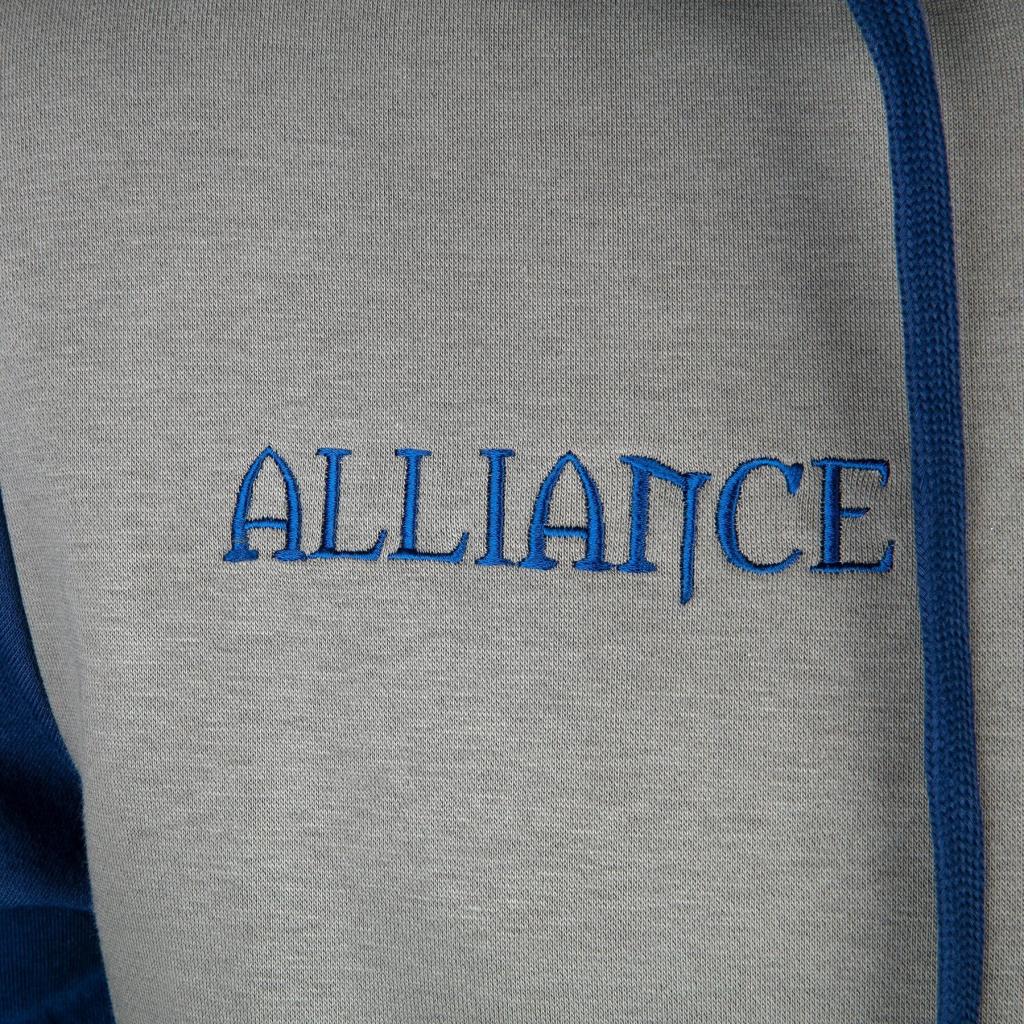 WOW - Alliance Varsity Hoodie (M)