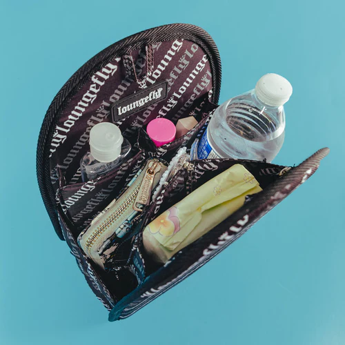 LOUNGEFLY - Insert Organizer - Mini Backpack Organiser LoungeFly
