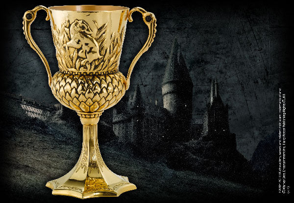 HARRY POTTER - The Hufflepuff Cup