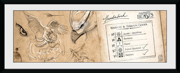 FANTASTIC BEASTS - Collector Print 30X75 - Thunderbird