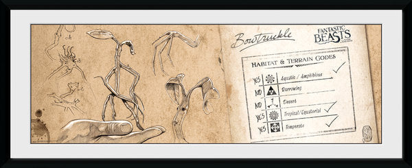 FANTASTIC BEASTS - Collector Print 30X75 - Bow Truckle