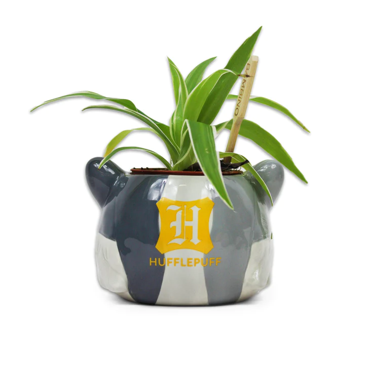 HARRY POTTER - Hufflepuff - Plant Pot