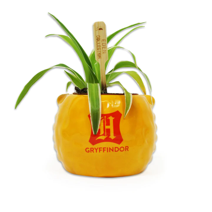 HARRY POTTER - Gryffindor - Plant Pot