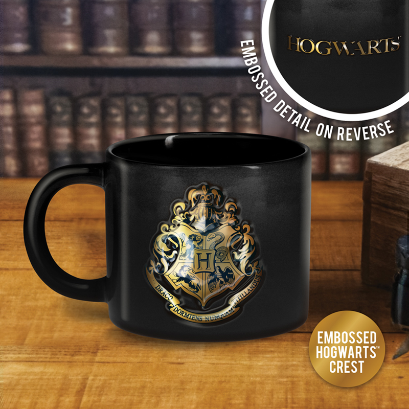 HARRY POTTER - Embossed Mug 13oz