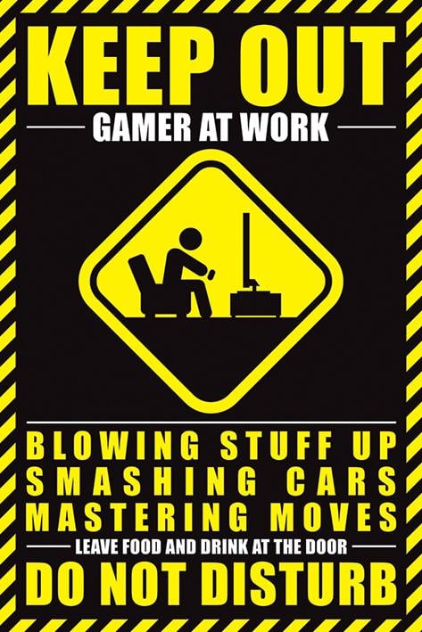 GAMERS - Poster 61X91 - Gamer at Work