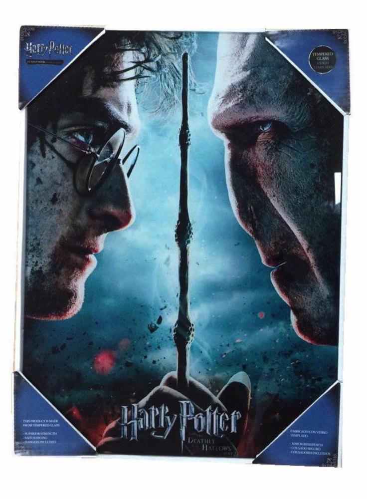 HARRY POTTER - GLASS PRINT - Harry / Voldemort - 30X40 Cm