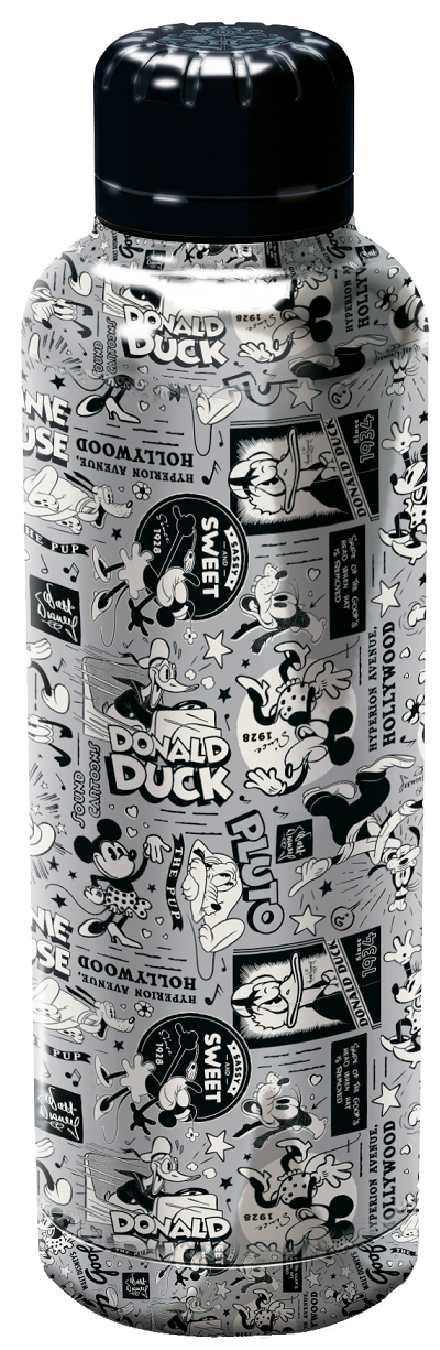 DISNEY 100 years - Stainless Steel Insulated Bottle - 17oz