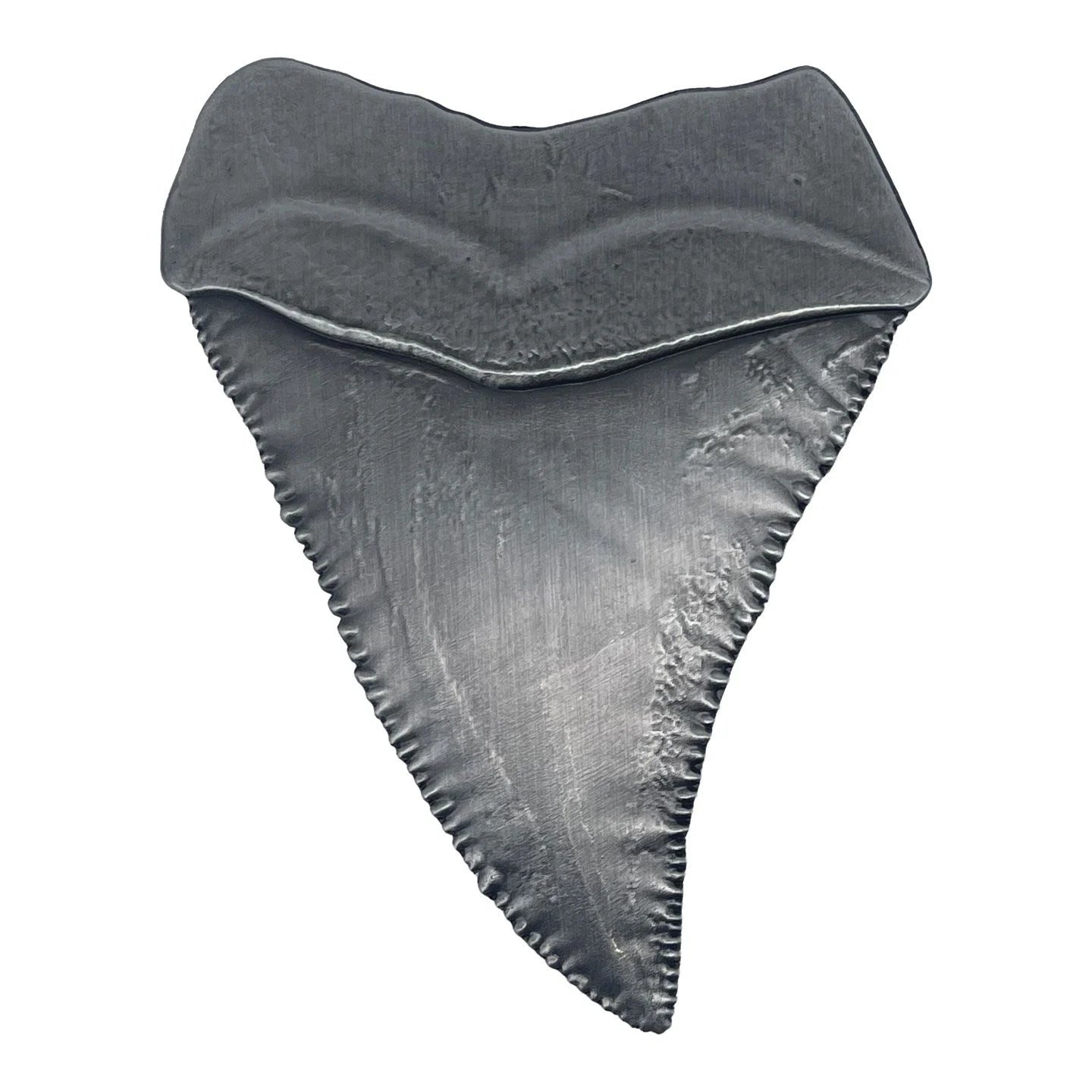 JAWS 50TH ANNIVERSARY - Shark Tooth - Limited Edition Medallion