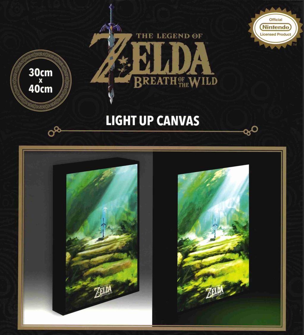 THE LEGEND OF ZELDA - Master Sword - Light Canvas 40X30 Cm