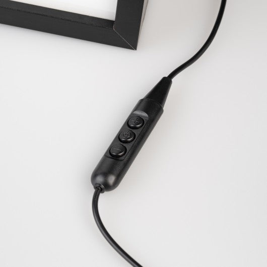 JURASSIC PARK  - Framed LED Print 28x20x5cm