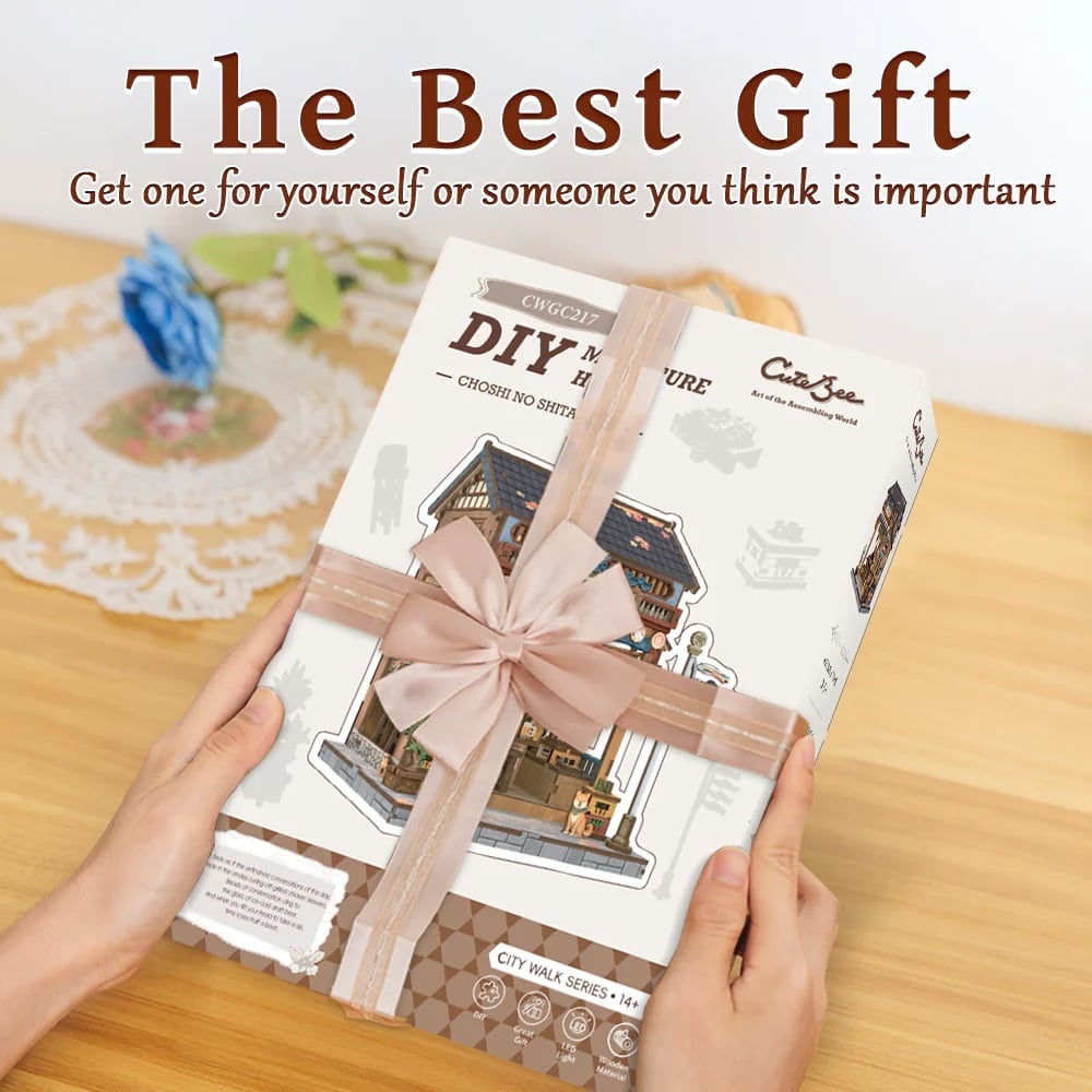 MINIATURE HOUSE - DIY- Choshi no Shitamachi - 218pc + LED Light