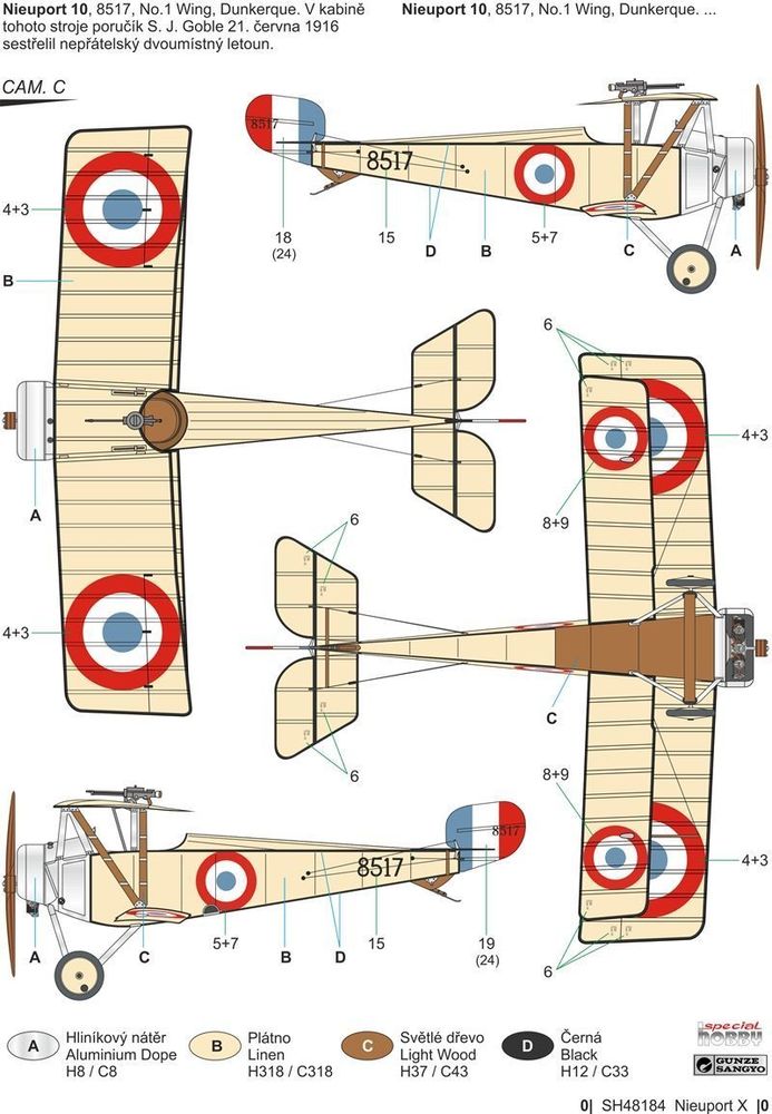 Nieuport X Two Seater