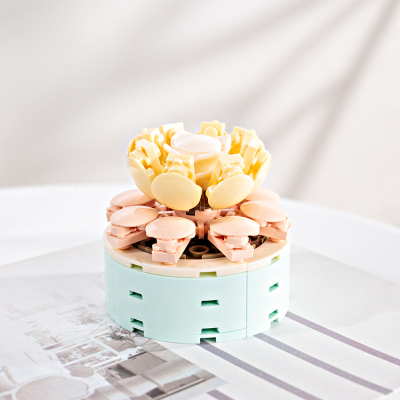 FOREVER FLOWERS - Bricks Succulent - Display 12pcs