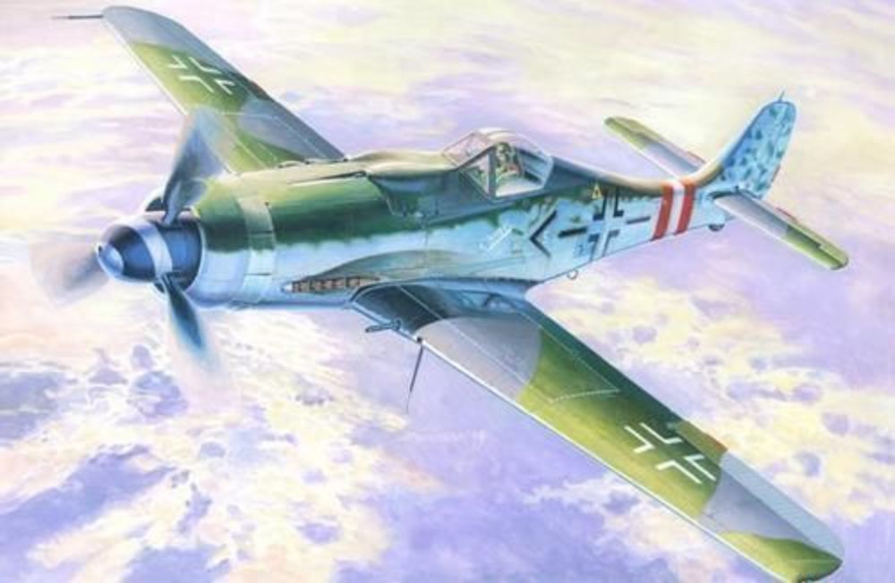 Fw-190D-9  Langnasen