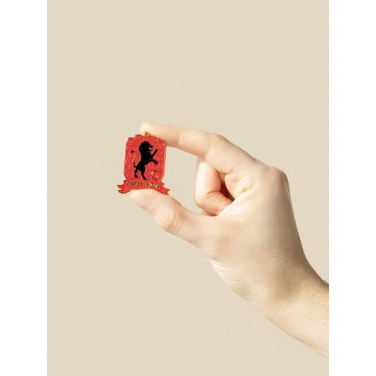 HARRY POTTER - The 4 Houses - Set of 4 Pin's