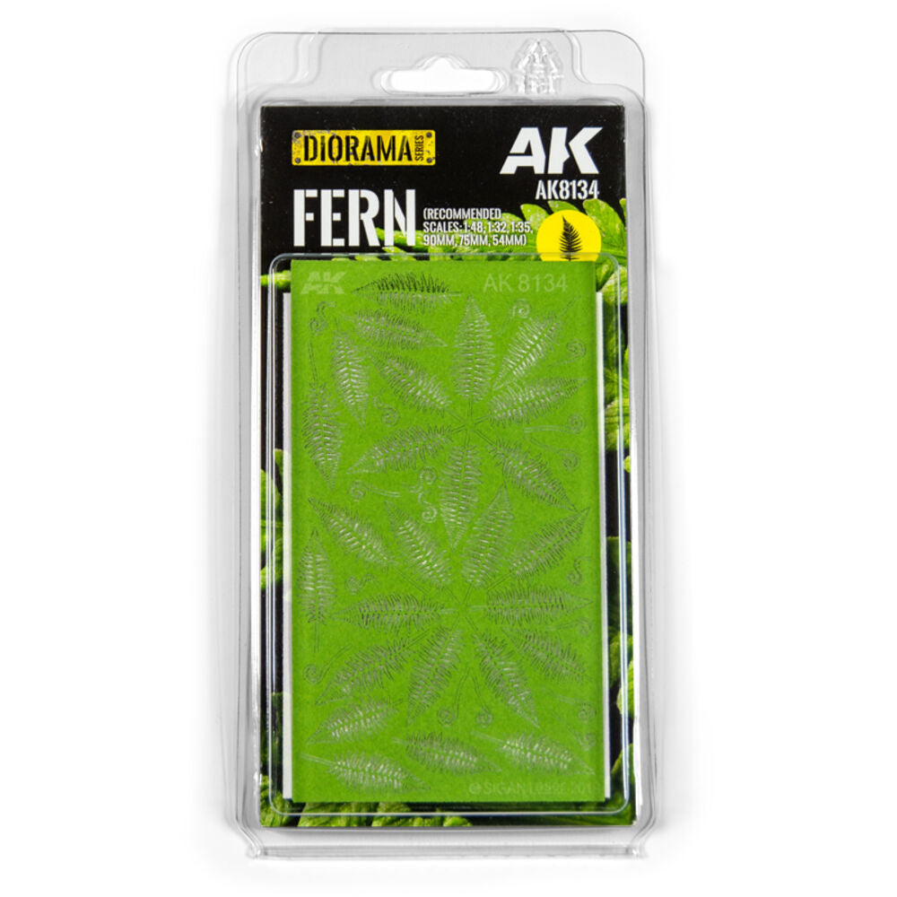 Fern