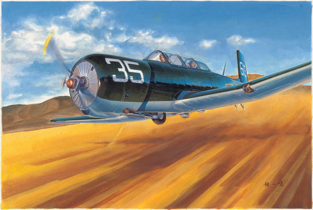 China Nanchang CJ-6