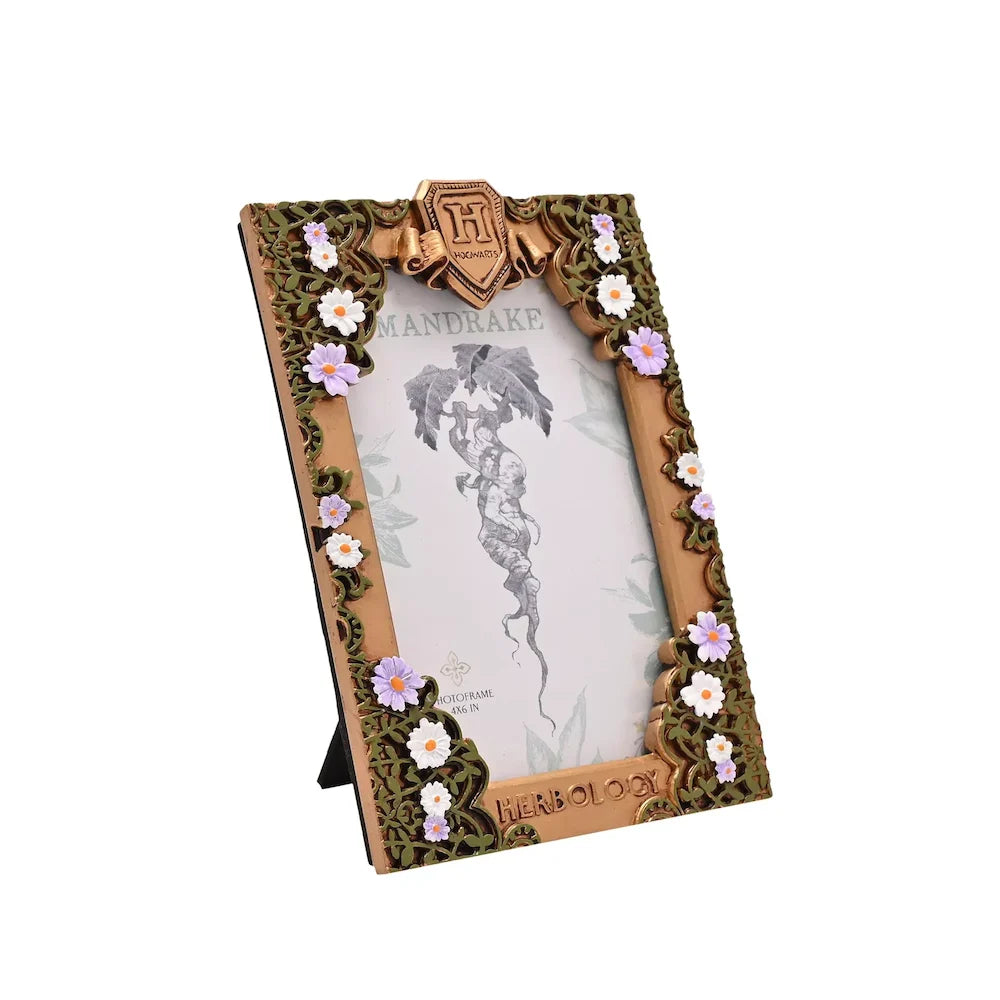 HARRY POTTER - Herbology - 3D Photo Frame