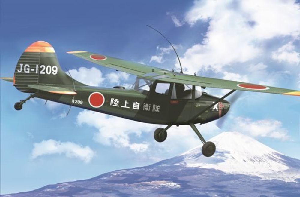 L-19/O-1 Bird Dog Asian service