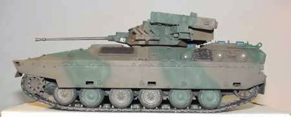 Sch��tzenpanzer Type 89 IFV (JFSDF)