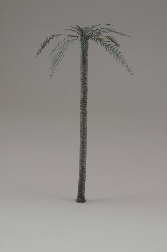 Palm