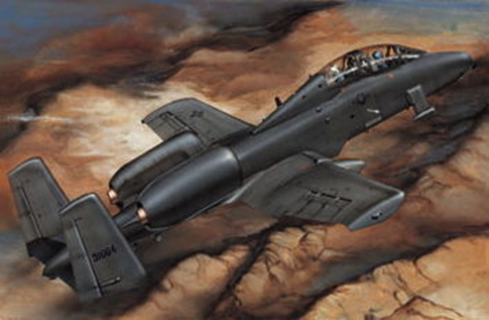 Fairchild A-10 A Thunderbolt N/AW