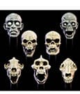 Mythic Legions: All Stars 6 Action Figure Accessorys Undead Heads Pack