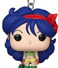 Dragon Ball POP! Vinyl Keychains 4 cm Lunch Display (12)