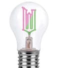 Wicked LED Bulb Light