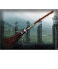 Harry Potter Replica 1/1 Firebolt Broom