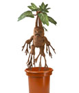 Harry Potter Interactive Plush Figure Mandrake 30 cm
