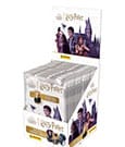 Harry Potter Metal Minicards Display (25)