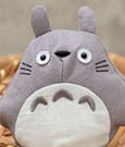 My Neighbor Totoro Japanese Style Beanbag Plush Figure Big Totoro