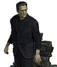 Frankenstein Premium Format Mixed Media Statue Frankenstein (Fabric Costume) 57 cm