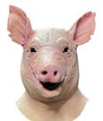 Spiral Mask Pig
