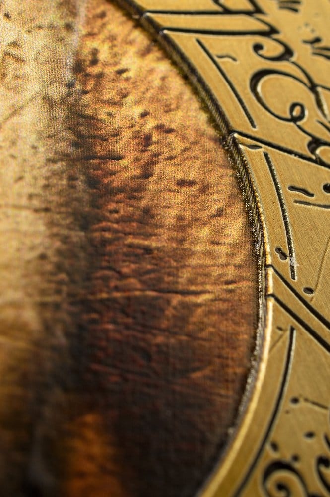 Lord of the Rings Coin with Display Stand The Fellowship