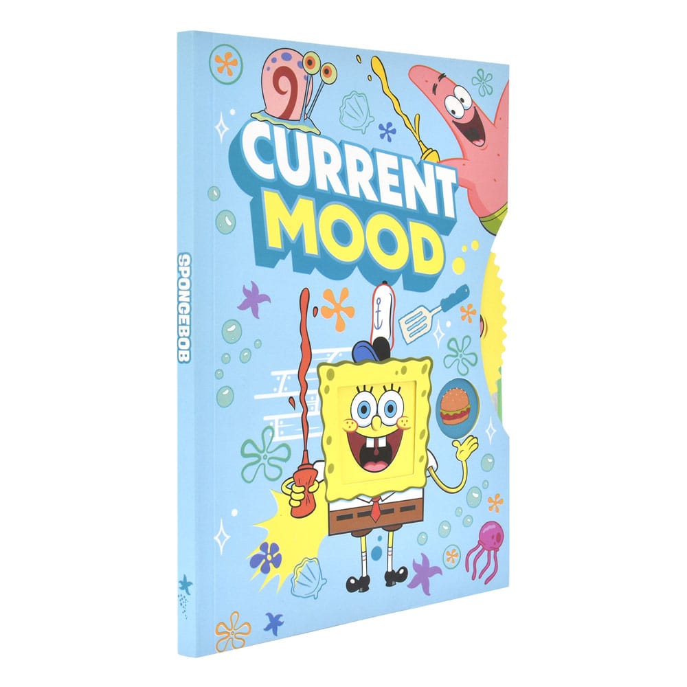 SpongeBob Notebooks Case (6)