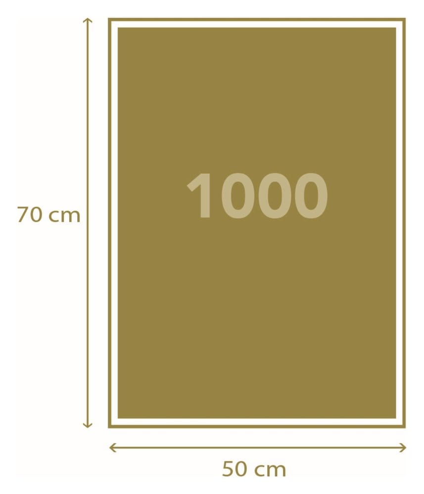 Dragon Ball Jigsaw Puzzle Run (1000 pieces)