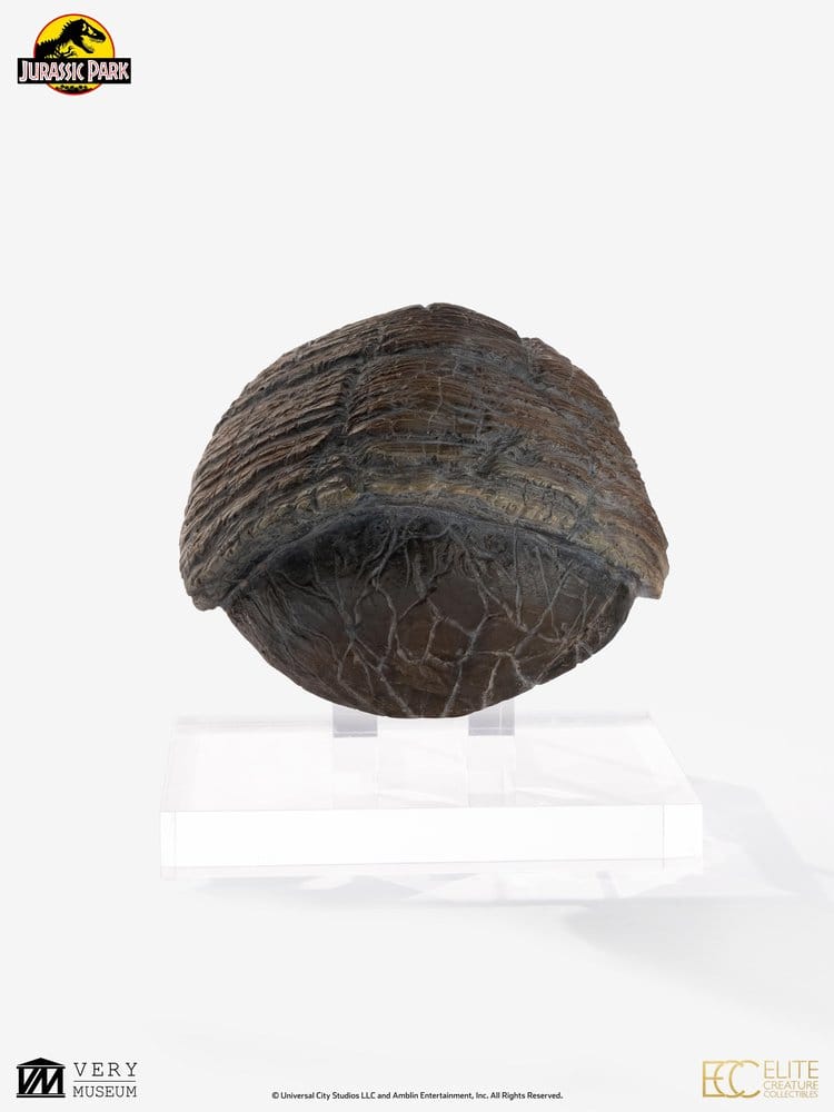 Jurassic Park 1/1 Replica Triceratops Toenail 16 cm